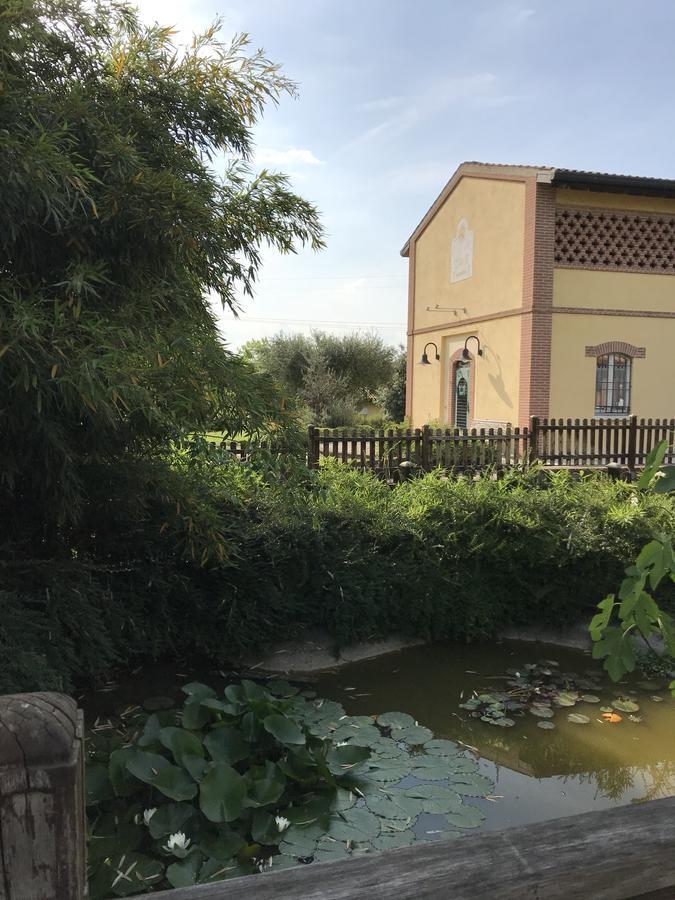 Agriturismo Corte Salandini Ponti sul Mincio Exterior foto